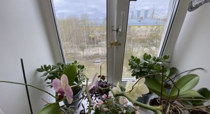 Купить 2-х комнатную квартиру на улице Интернациональная ул г. Нижневартовск. Фотография №4