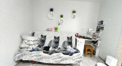 Продаётся 1 комнатная квартира в г. Самара. Фотография №6