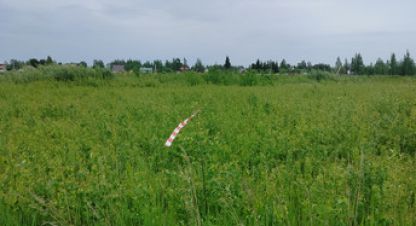 Продам земельный участок, на улице Первомайская, г. Медвежья голова, Новгородская обл., Россия, агентство Интернет-партнер. Фотография №1