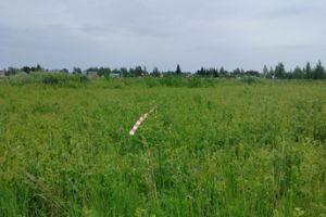 Продам земельный участок, на улице Первомайская, г. Медвежья голова, Новгородская обл., Россия, агентство Интернет-партнер