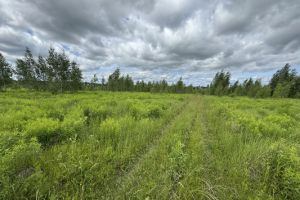 Продам земельный участок, на улице Октябрьский п, г. Октябрьский, Брянская обл., Россия, агентство Интернет-партнер