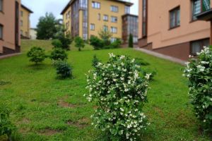 Продам квартиру 1 комнатную с общей площадью 37м2, 2/3 эт., на улице Горная, г. Мистолово, Ленинградская обл., Россия, агентство Интернет-партнер