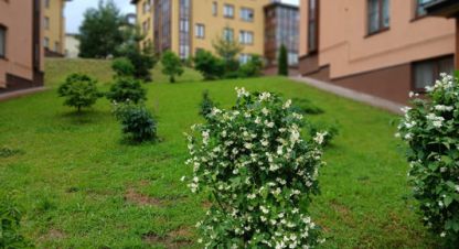 Продам квартиру 1 комнатную с общей площадью 37м2, 2/3 эт., на улице Горная, г. Мистолово, Ленинградская обл., Россия, агентство Интернет-партнер. Фотография №1