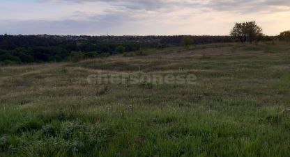 Купить земельный участок на улице Территория ст скала-2 г. Севастополь. Фотография №5
