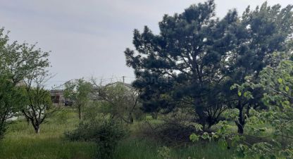 Купить земельный участок в г. Севастополь. Фотография №3