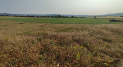 Купить земельный участок, Россия, г. Пок сирень. Фотография №9