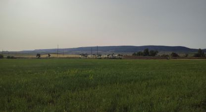 Купить земельный участок в г. Пок сирень. Фотография №2