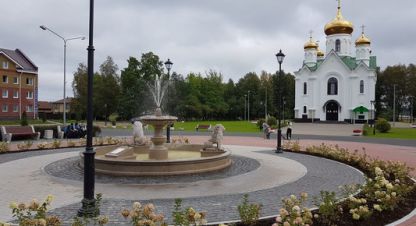 Купить земельный участок в г. Дубровка. Фотография №2