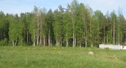 Купить земельный участок на улице Выборгская ул г. Дубровка. Фотография №4