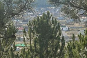 Продам дом 4-х комнатный с общей площадью 130м2, на улице Хвойная ул, г. Белоглинка , Крым авт. респ., Россия, агентство Интернет-партнер