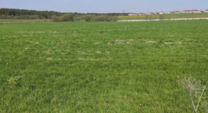 Продам земельный участок, на улице Корткерос с, г. Корткерос, Коми респ., Россия, агентство Интернет-партнер. Фотография №1