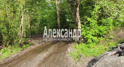 Купить земельный участок г. Яромаска. Фотография №4