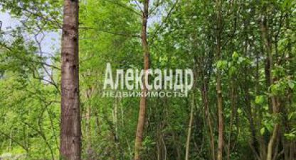 Продаётся земельный участок в г. Яромаска. Фотография №7