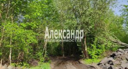 Купить земельный участок в г. Яромаска. Фотография №2