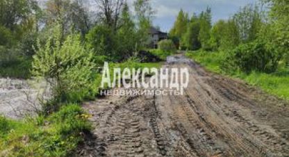 Купить земельный участок г. Яромаска. Фотография №5