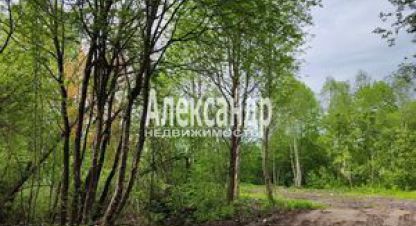 Купить земельный участок, Россия, г. Яромаска. Фотография №8