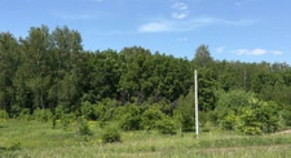 Купить земельный участок на улице Красная г. Октябрьский. Фотография №4