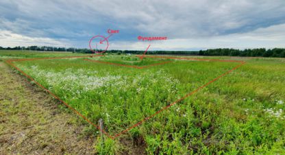 Купить земельный участок на улице Ясная г. Ленино. Фотография №4