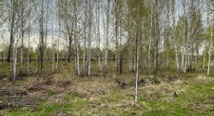 Купить земельный участок, Россия, г. Снт надежда. Фотография №8