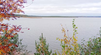 Купить земельный участок в г. Токсово. Фотография №2