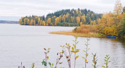 Продам земельный участок, на улице Поперечная ул, г. Токсово, Ленинградская обл., Россия, агентство Интернет-партнер. Фотография №1