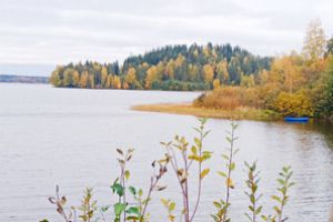 Продам земельный участок, на улице Поперечная ул, г. Токсово, Ленинградская обл., Россия, агентство Интернет-партнер