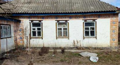 Купить дом в г. Торговица. Фотография №3
