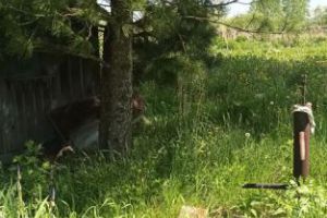 Продам дом с общей площадью 35.5м2, на улице Береговая, г. Бенжереп 2-й, Кемеровская обл., Россия, агентство Сервис по недвижимости ИМЛС