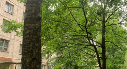 Купить квартиру в г. Колпино. Фотография №3