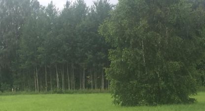Продам земельный участок, г. Дарьино-успенское коттеджный пок, Московская обл., Россия, агентство Absolute Realty Advisors. Фотография №1
