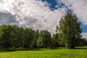 Продам земельный участок, г. Ромашково-21 коттеджный пок, Московская обл., Россия, агентство Absolute Realty Advisors