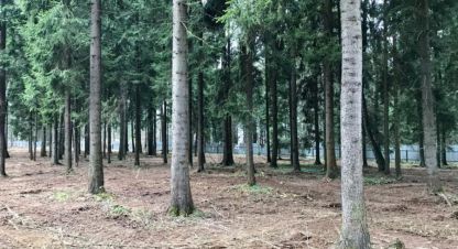 Купить земельный участок в г. Павловское д.. Фотография №2