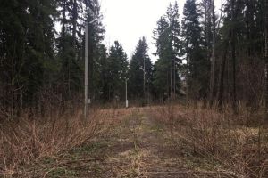 Продам земельный участок, г. Павловское д., Московская обл., Россия, агентство Absolute Realty Advisors