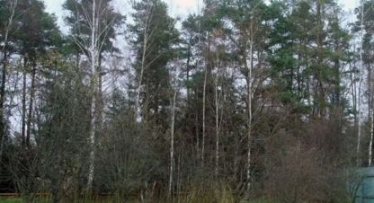 Продам земельный участок, г. Иславское снт, Московская обл., Россия, агентство Absolute Realty Advisors. Фотография №1