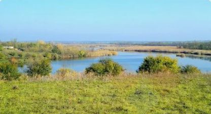 Купить земельный участок на улице Колхозная ул г. Свободное с. Фотография №4