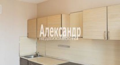 Купить 1 комнатную квартиру в г. Парголово. Фотография №2