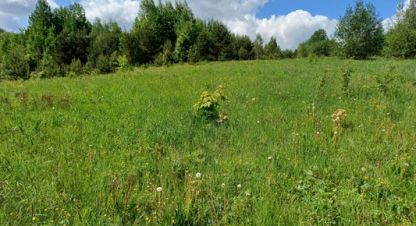 Купить земельный участок, Россия, г. Короцко. Фотография №8