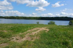Продам земельный участок, на улице Короцко п, г. Короцко, Новгородская обл., Россия, агентство Интернет-партнер