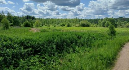Продам земельный участок, г. Глебово, Новгородская обл., Россия, агентство Интернет-партнер. Фотография №1