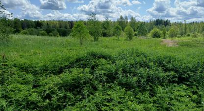 Купить земельный участок г. Глебово. Фотография №4