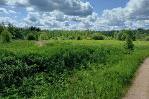 Продам земельный участок, г. Глебово, Новгородская обл., Россия, агентство Интернет-партнер