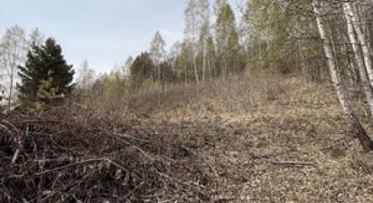 Продам земельный участок, на улице Багульник тер  снт, г. Багульник тер, Иркутская обл., Россия, агентство Интернет-партнер. Фотография №1