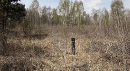 Купить земельный участок в г. Багульник тер. Фотография №2
