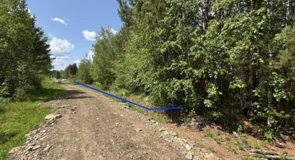 Купить земельный участок на улице Черемуховая ул г. Шаманка. Фотография №5