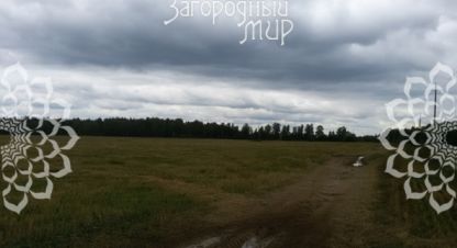 Купить земельный участок г. Борисково. Фотография №5
