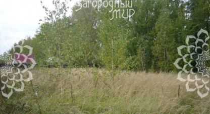 Купить земельный участок в г. Борисково. Фотография №2