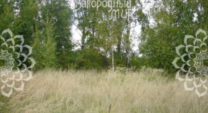 Купить земельный участок на улице Уч 545 г. Борисково. Фотография №5