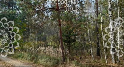 Купить земельный участок, Россия, г. Ступино. Фотография №8