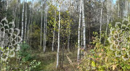 Купить земельный участок, Россия, г. Ступино. Фотография №10