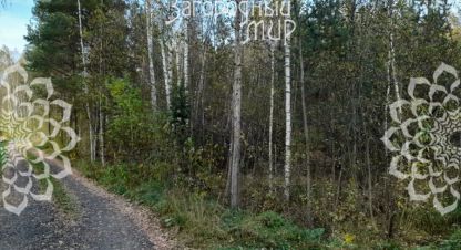 Купить земельный участок в г. Ступино. Фотография №3